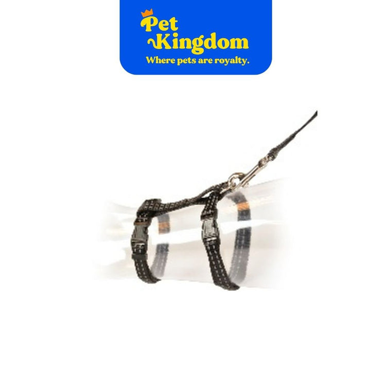 DUVOPLUS BIG CAT WALKING SET REFLECTIVE UNI