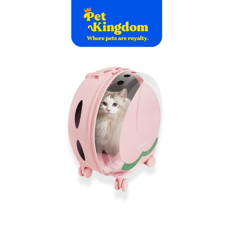 VETRESKA Bubble Pet Carrier (Pink Color Block)