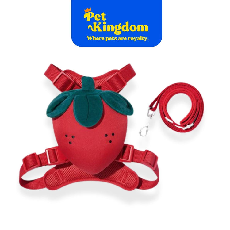 VETRESKA Strawberry Pet Backpack, Harness & Leash Set S