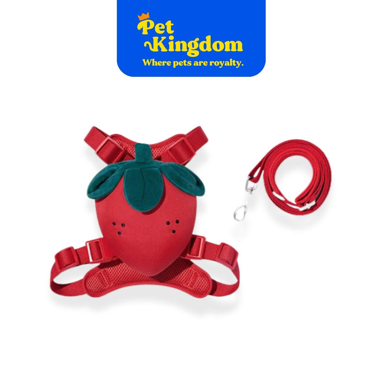 VETRESKA Strawberry Pet Backpack, Harness & Leash Set XXS