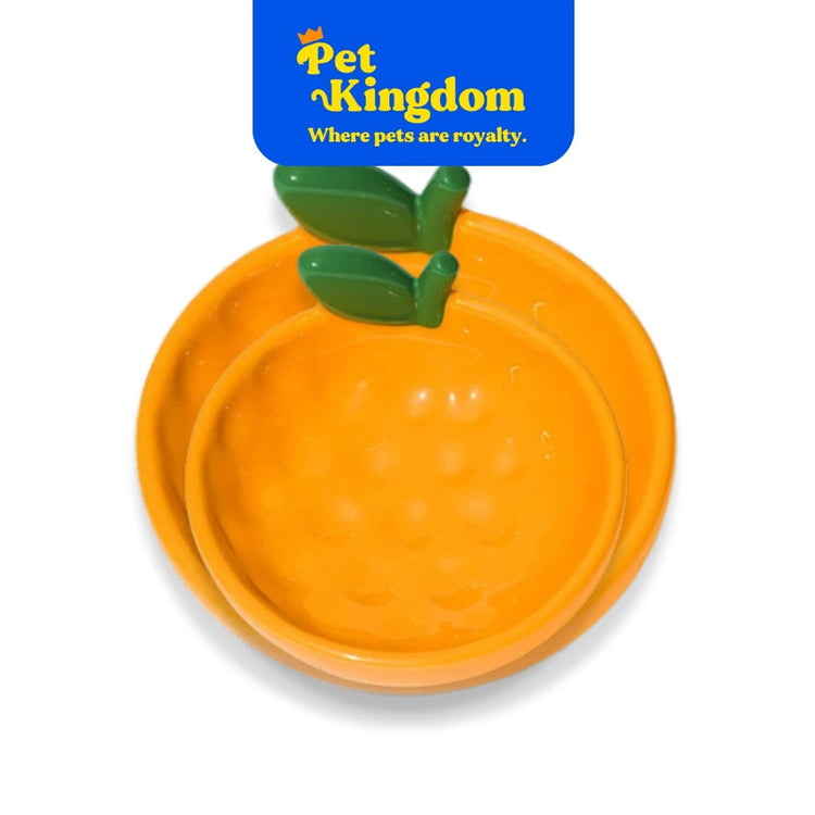 VETRESKA Tangerine Ceramic Pet Bowl NEW