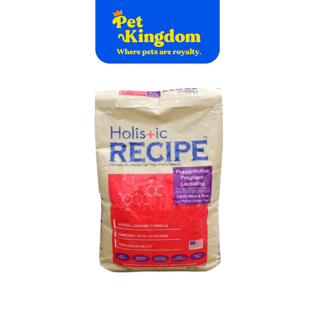Beautiful view of Holistic Puppy Food For Weight Gain