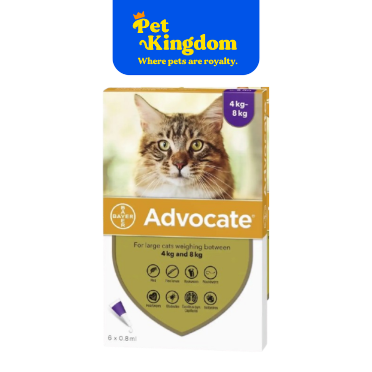 ADVOCATE FOR CAT MEDIUM 4-8KG PIPETTE - RX