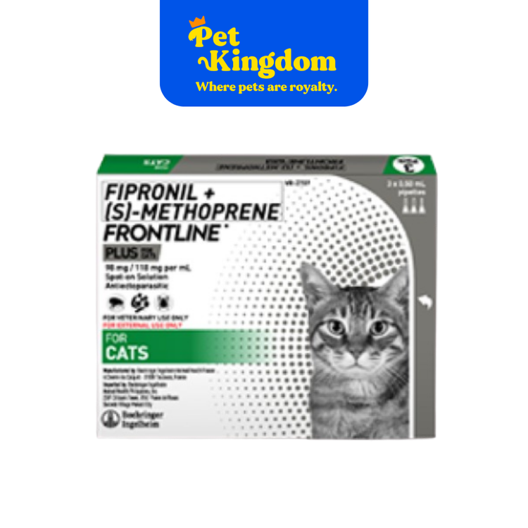 FRONTLINE FOR CAT
