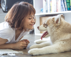 Welcoming Your New Furry Family Member