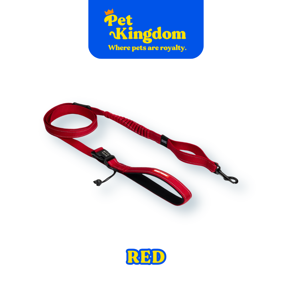 EZYDOG ROAD RUNNER STANDARD
