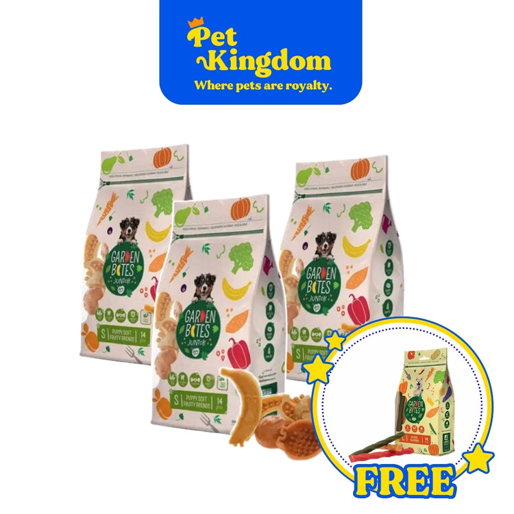 BUY 3 LARGE - GARDEN BITES FRUITY FRIENDS AND  GET FREE GARDEN BITES DENTAL TWISTERS - XL