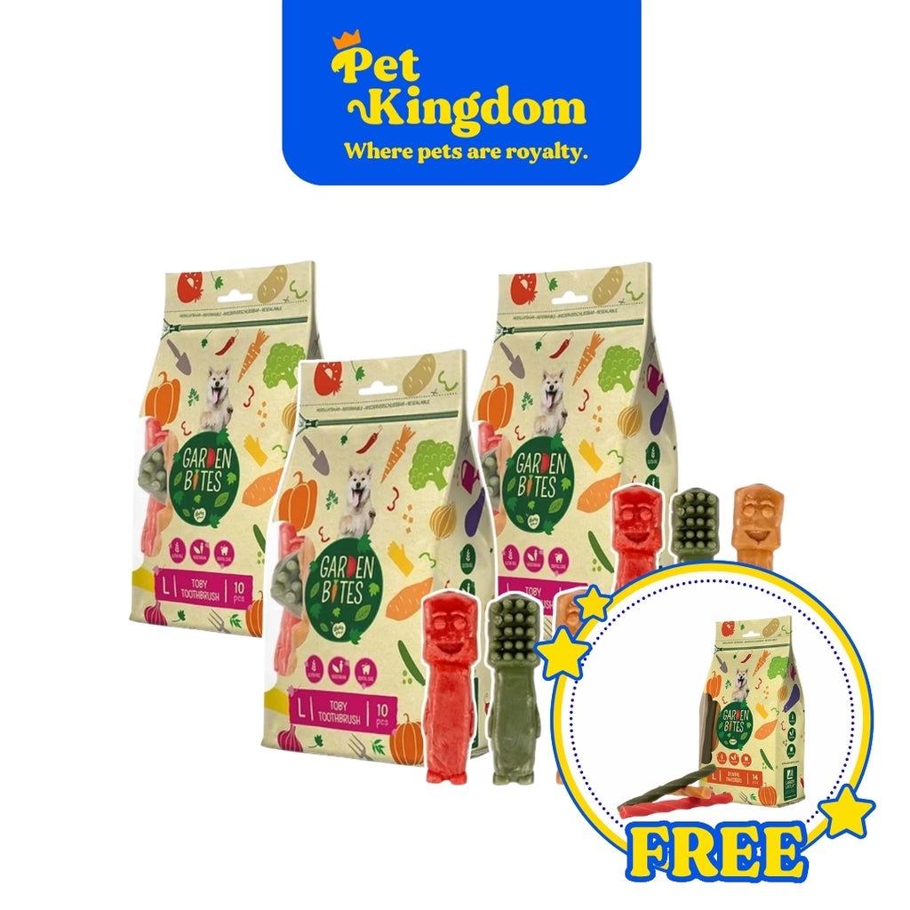 BUY 3 LARGE - GARDEN BITES TOBY TOOTHBRUSH AND GET FREE GARDEN BITES DENTAL TWISTERS- XL