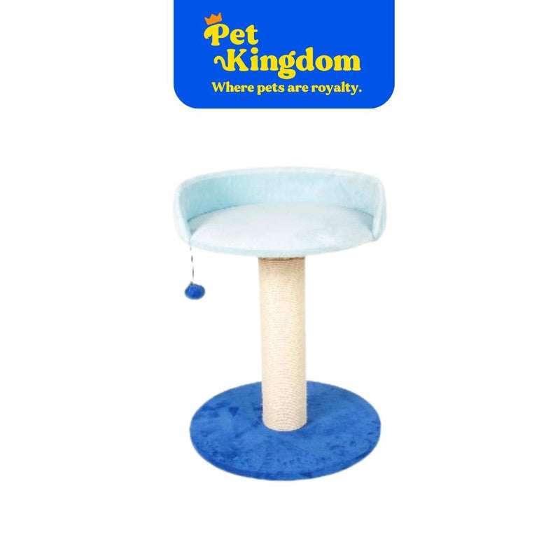 COOCKO CATTREE BERRY BREEZE BLUE