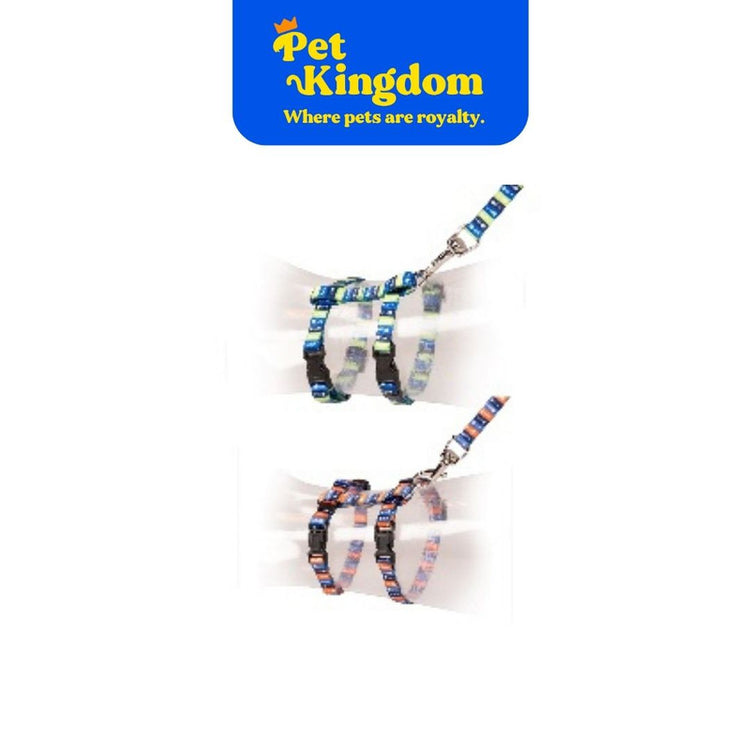 DUVOPLUS KITTEN WALKING SET FISH BONES
