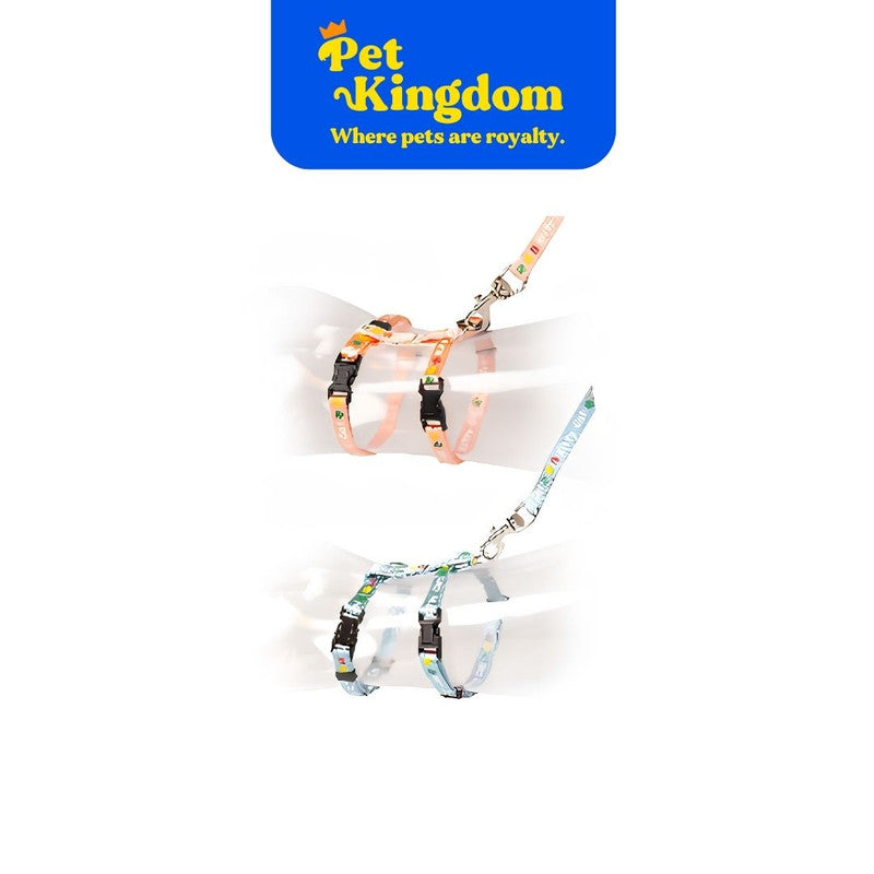 DUVOPLUS KITTEN WALKING SET KITTY CAT