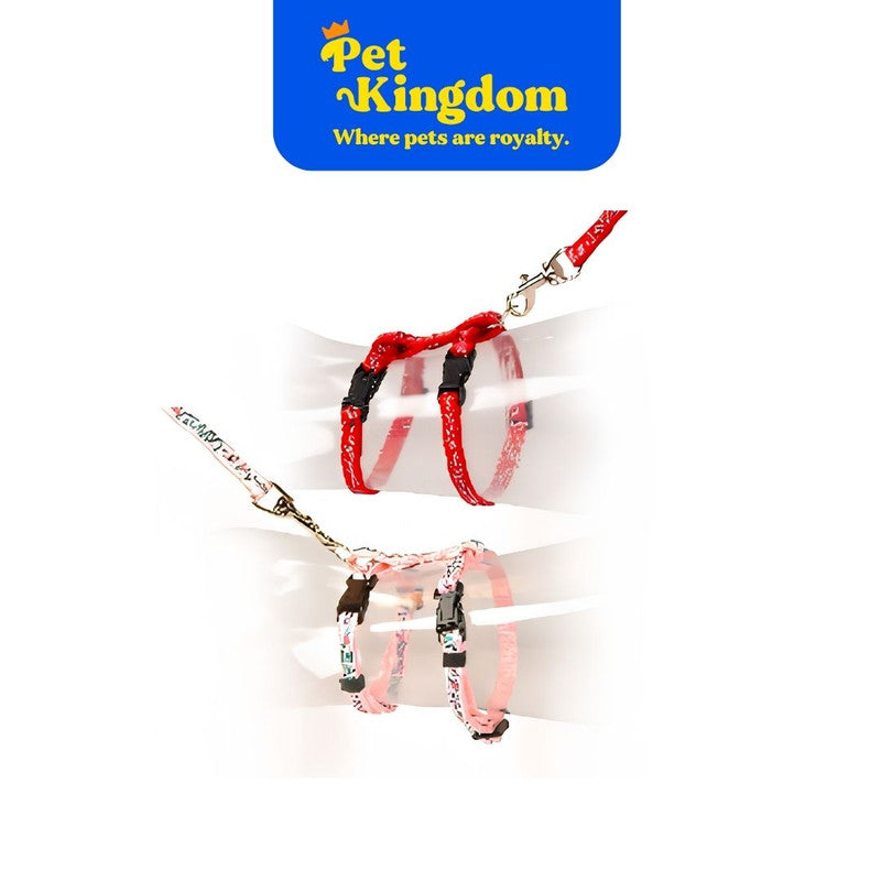 DUVOPLUS KITTEN WALKING SET LOVE