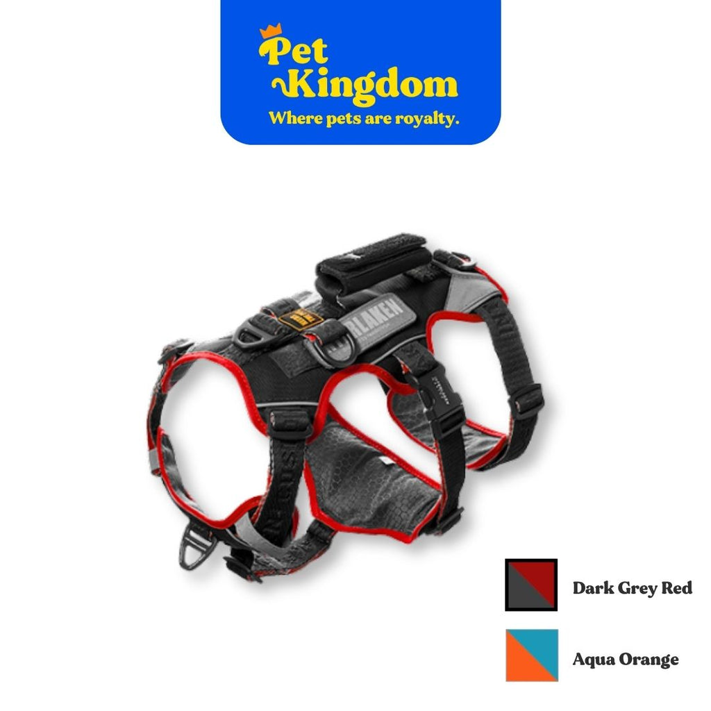 INTERLAKEN EARTHTEC SLIM 3.0 HARNESS XS - XL
