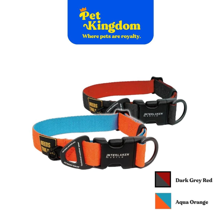 INTERLAKEN EARTHTEC STANDARD COLLAR S - L
