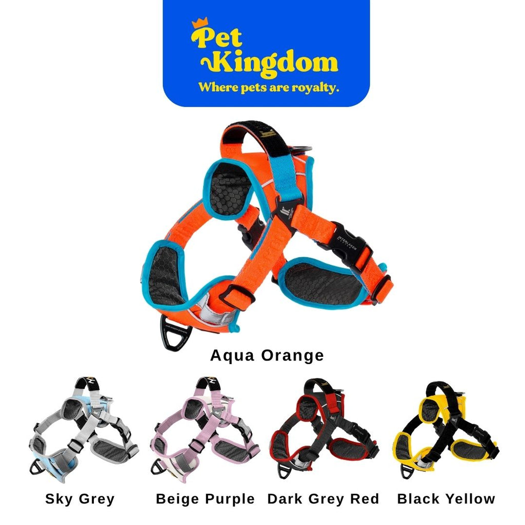 INTERLAKEN EARTHTEC Y TYPE PD HARNESS XS - XL