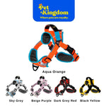 INTERLAKEN EARTHTEC Y TYPE PD HARNESS XS - XL