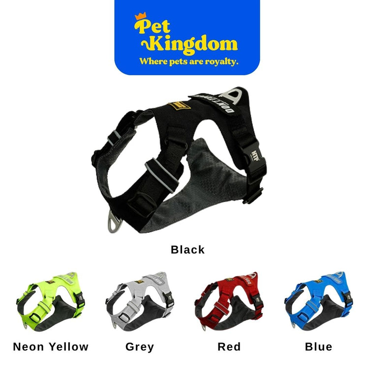 INTERLAKEN LIGHT HARNESS 2XS - XL