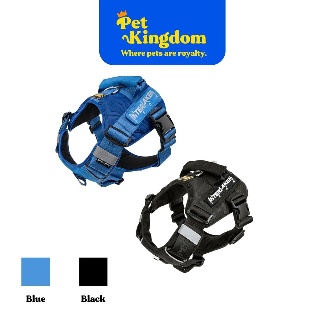 INTERLAKEN TECH HARNESS 2XS - XL