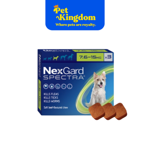 NEXGARD SPECTRA MEDIUM 7.5 TO 15 KG - RX