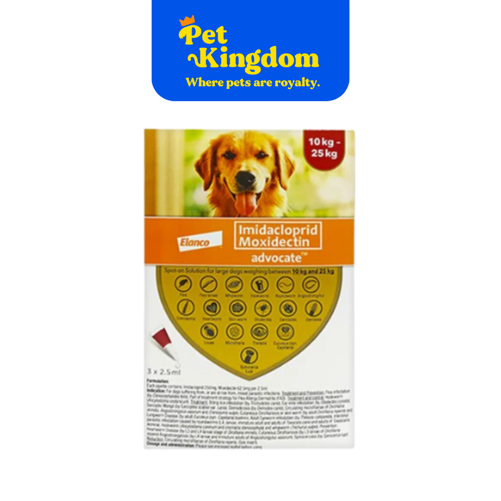 ADVOCATE DOG LRG 11-25KG / PIPETTE - RX