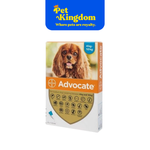ADVOCATE DOG MEDIUM 5-10KG / PIPETTE - RX