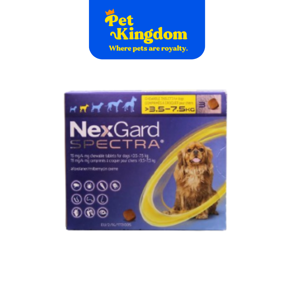 Nexguard Small NEXGARD SPECTRA SMALL 3.5 TO 7.5 KG - RX – Pet Kingdom