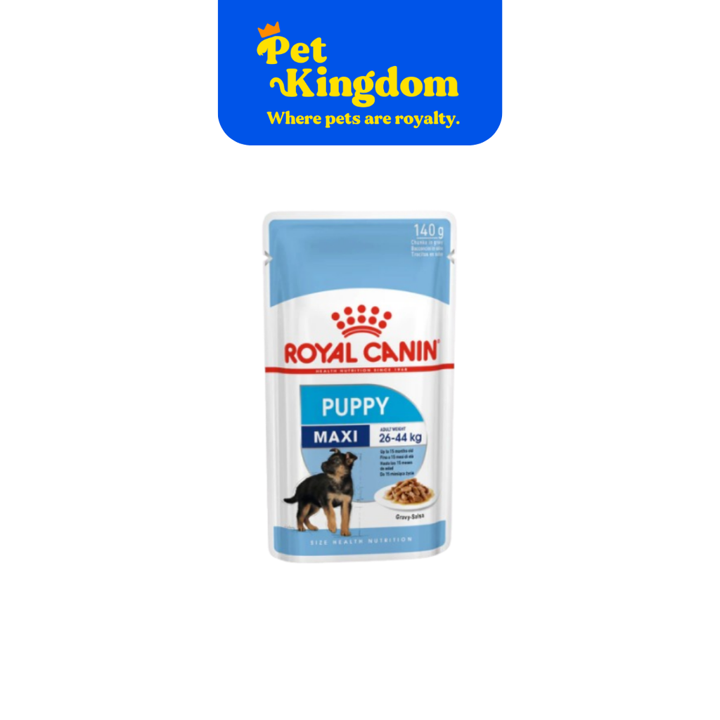 ROYAL CANIN SHN MAXI PUPPY 140G