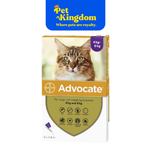 ADVOCATE FOR CAT MEDIUM 4-8KG PIPETTE - RX
