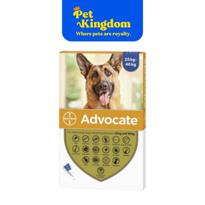 ADVOCATE DOG XL 26-40KG / PIPETTE - RX