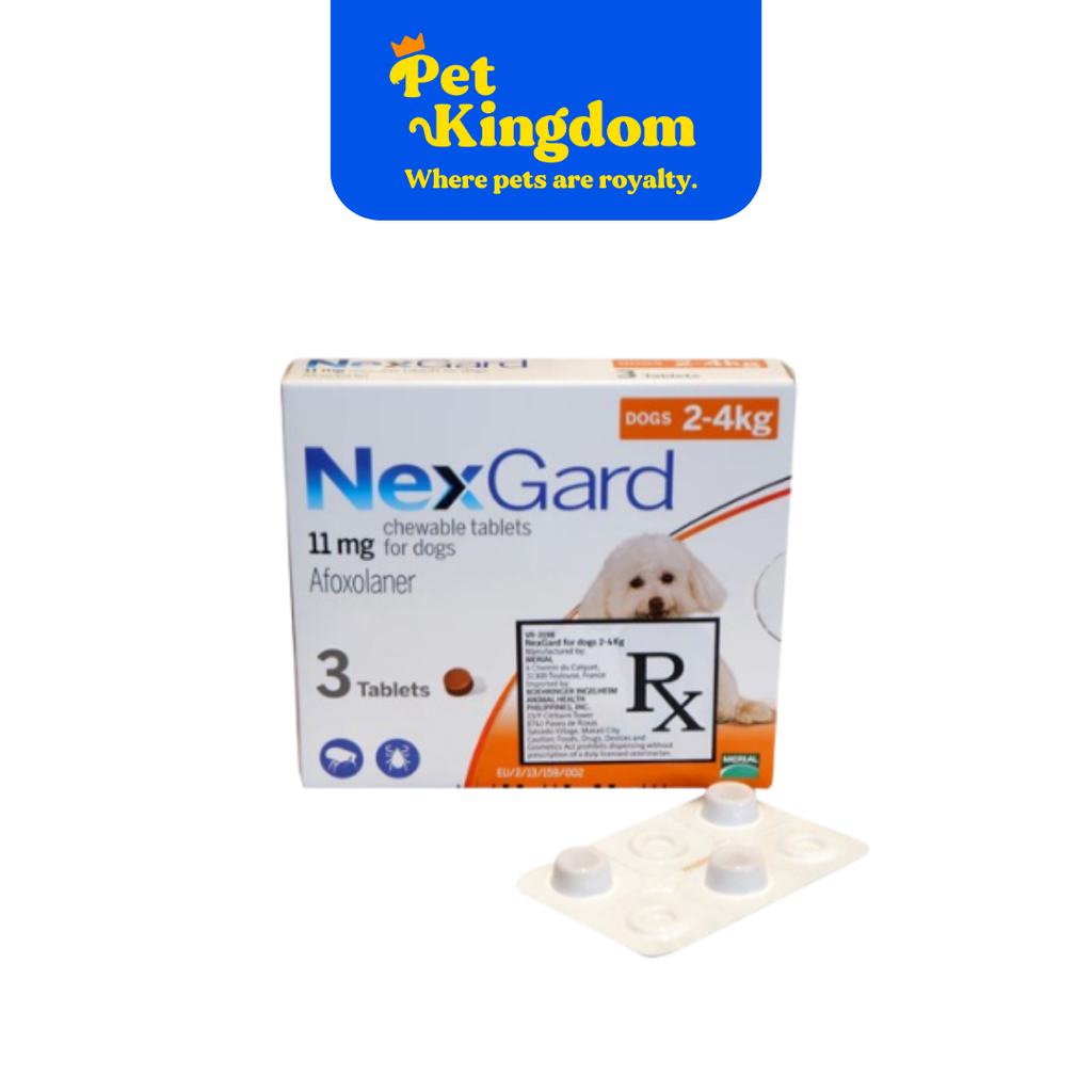 Nexguard Small NEXGARD CHEW TABLET SMALL 2-4 KG - RX – Pet Kingdom